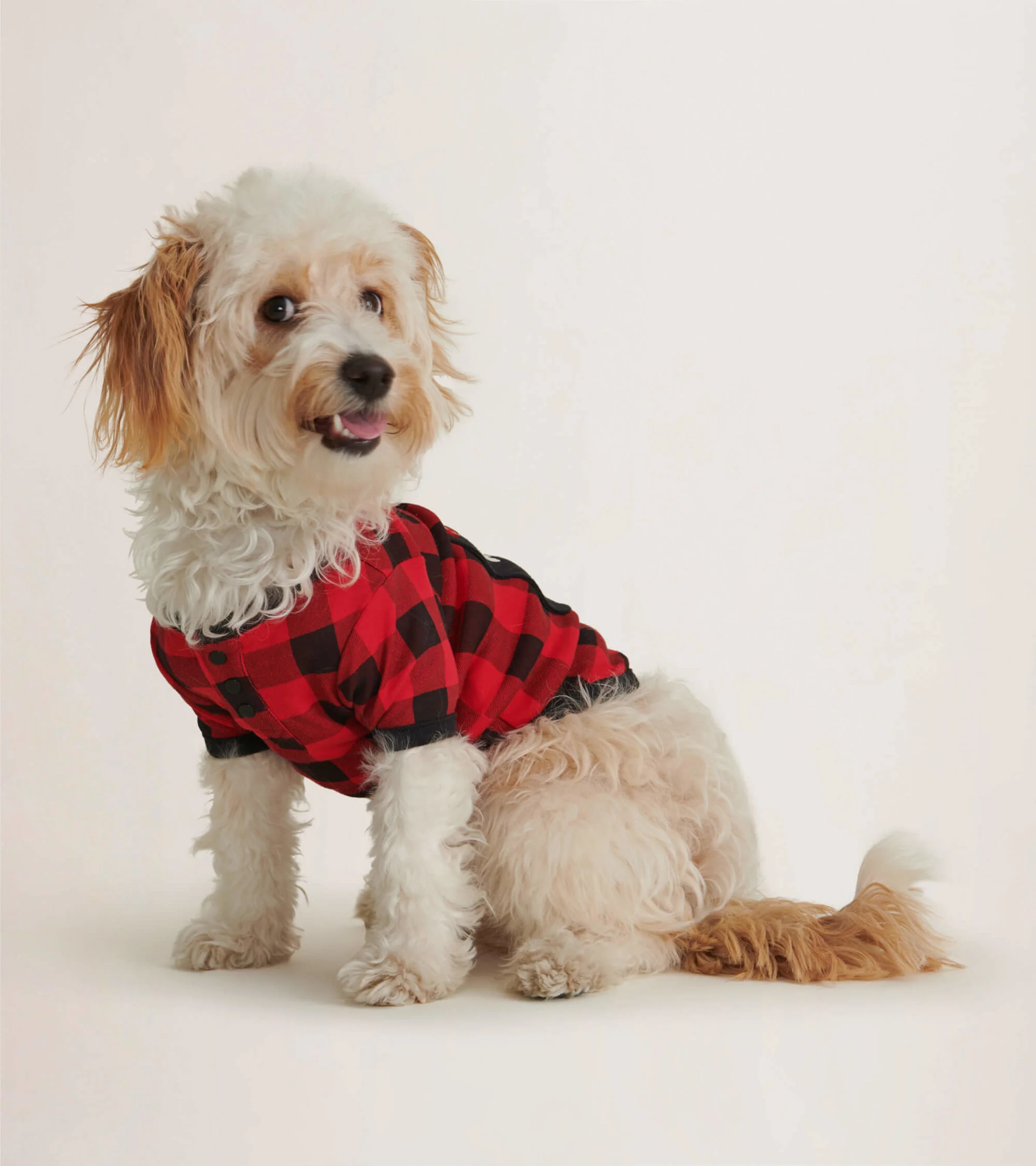 Moose On Plaid Dog Tee - Image 2