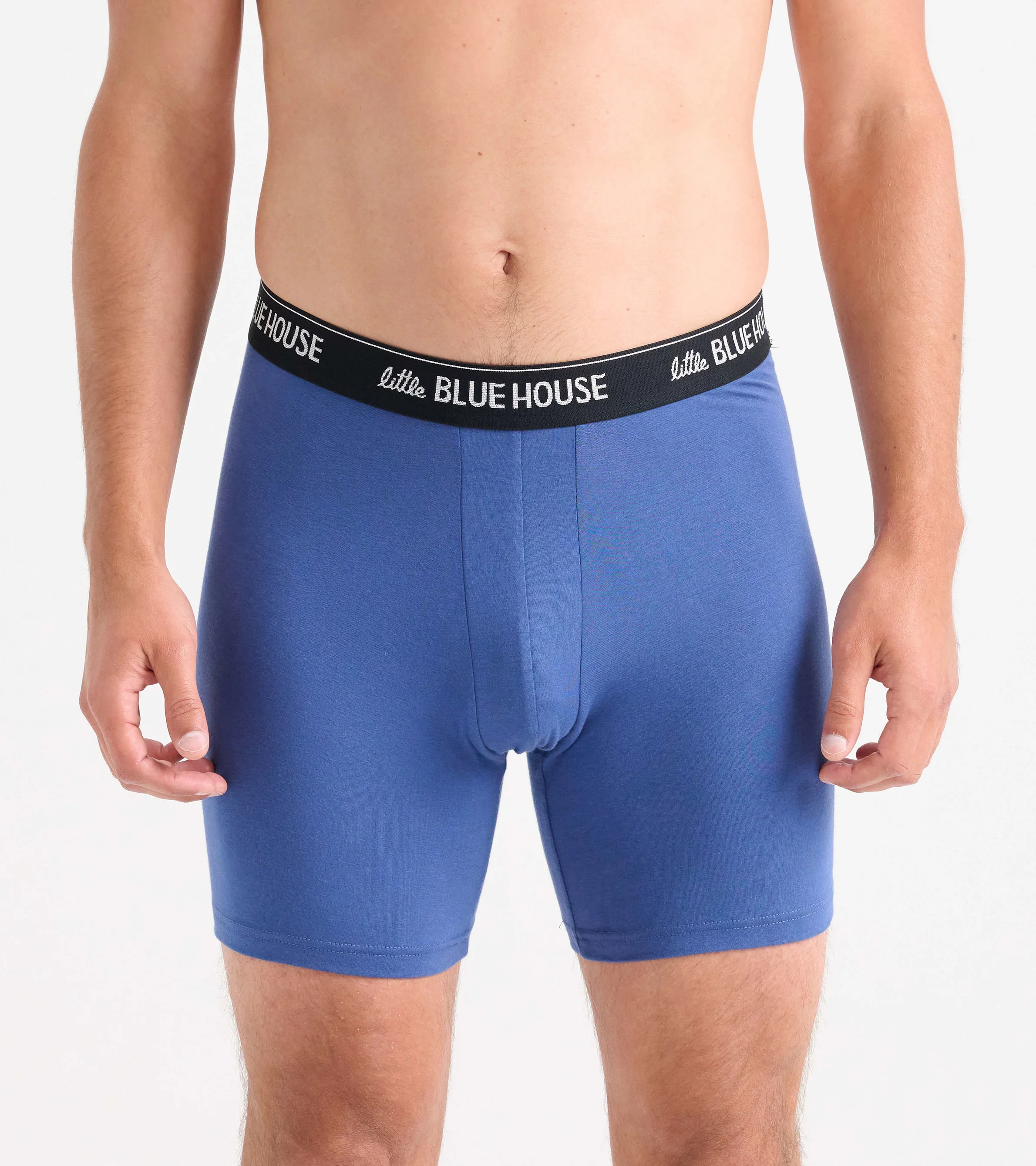Six Pack Men's Boxer Briefs - Image 3